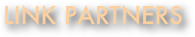 Link Partners