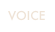 VOICE