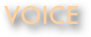 VOICE